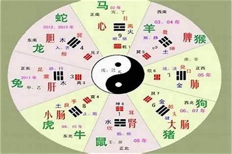 中文字 五行|汉字五行属性查询